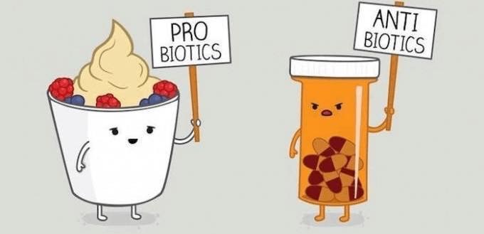 Probiotici: i batteri buoni
