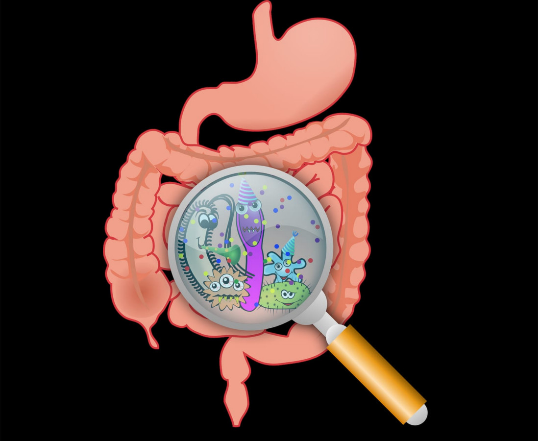 Un organo sconosciuto: il microbiota