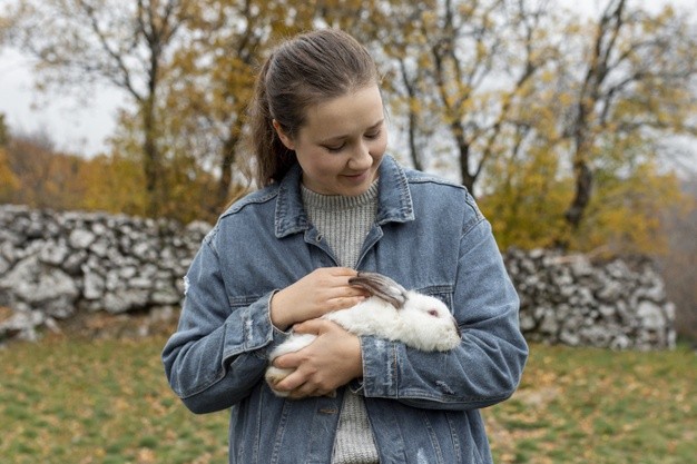4 validi motivi per sterilizzare il coniglio