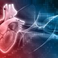 Cardiomiopatia patologia del cuore
