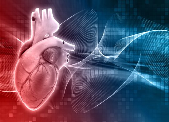 Cardiomiopatia patologia del cuore