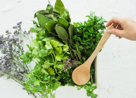 Depurare il fegato in primavera le erbe della salute per rigenerare il tuo organismo