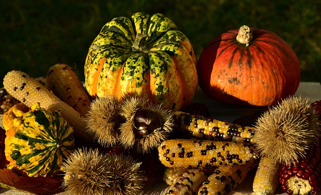 E’ arrivato l’autunno con i suoi alimenti stagionali: ecco come inserirli nella nostra alimentazione