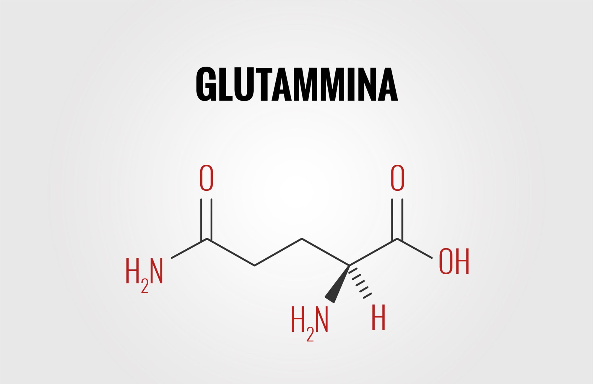 Glutammina: perché è importante 