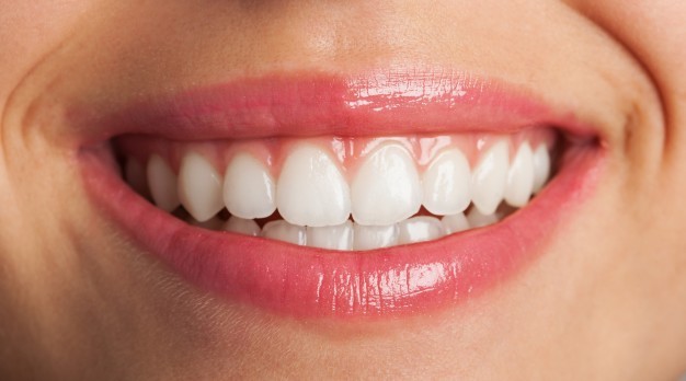 I denti e le loro funzioni
