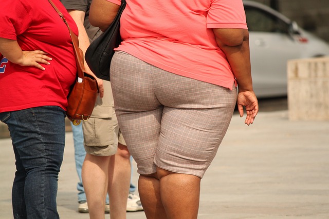 L’obesità come fattore di rischio cardiovascolare