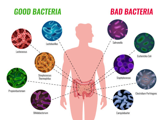 Microbiota intestinale mal di schiena e stanchezza cronica le correlazioni nascoste