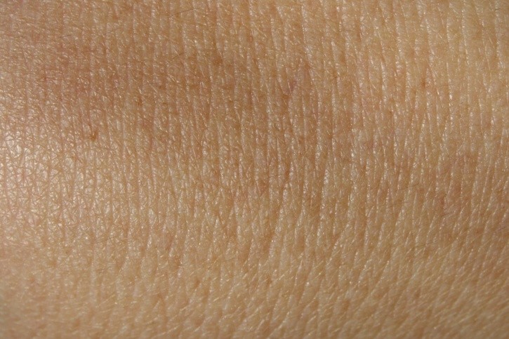 Anatomia della pelle: strati e ciclo vitale