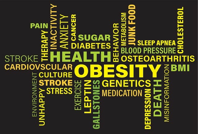 Obesità e sovrappeso: quali sono i rischi reali?